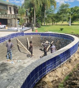 WhatsApp Image 2025-11-07 at 15.47.54_2f9d8eb0